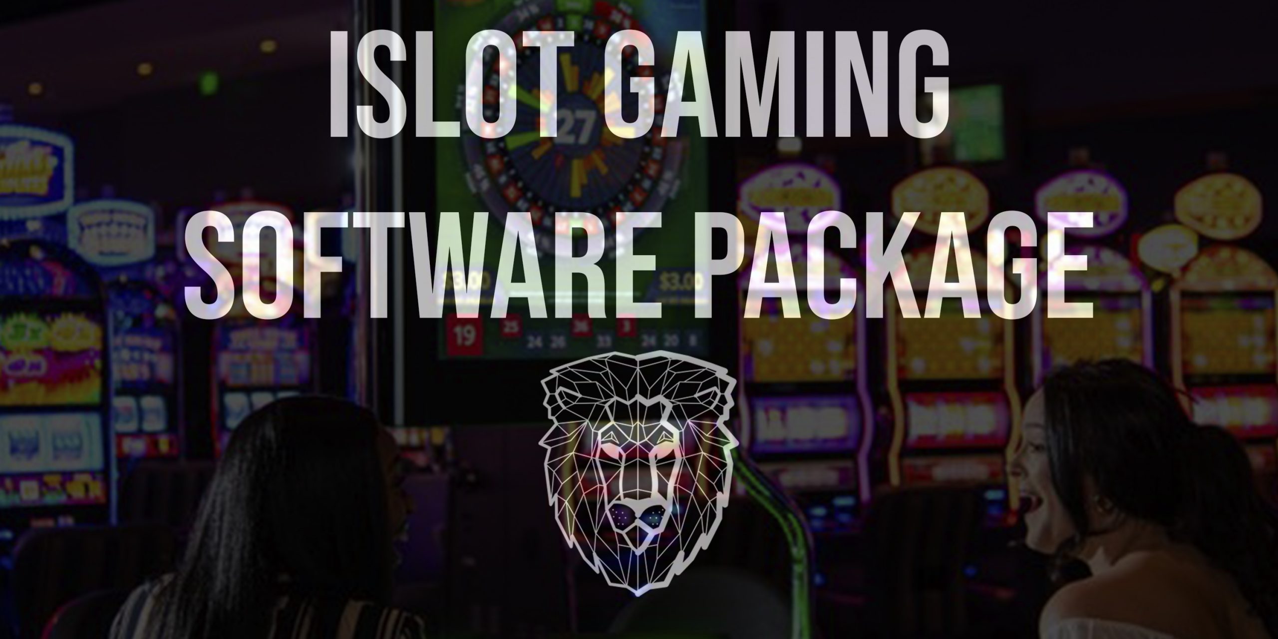 islot gaming software, sweepstakes internet software, gaming casino program