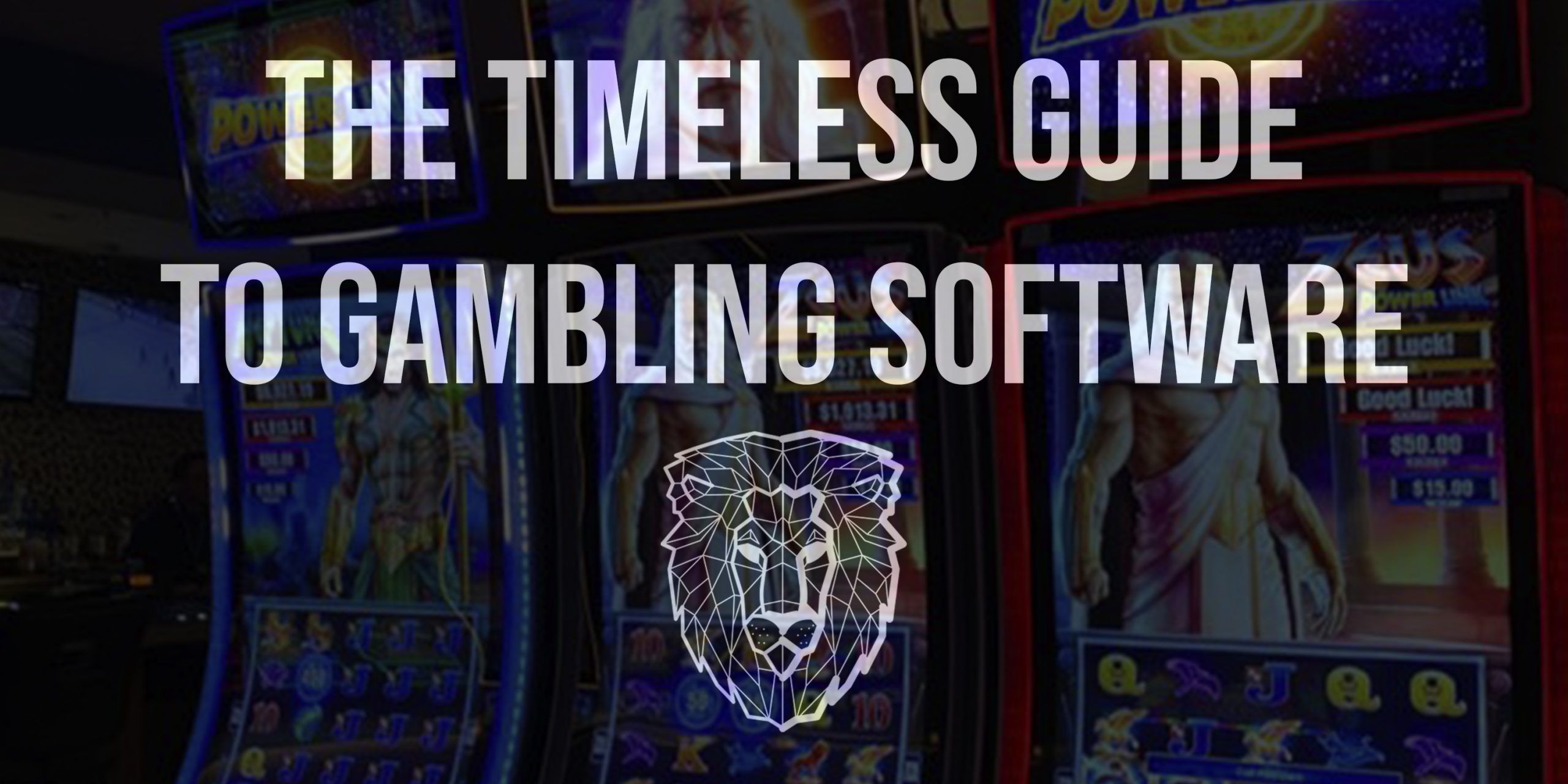 Gambling software for internet cafe, casino terminals software, slots games program