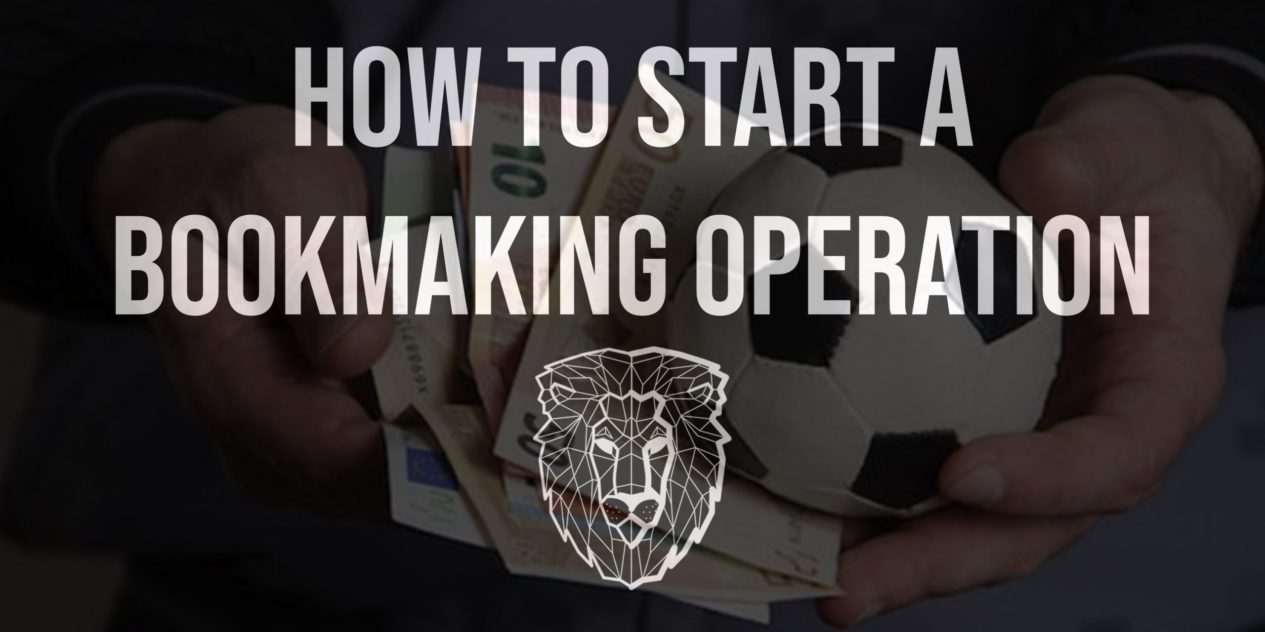 sports betting services, how to start a bookmaking operation, how do sportsbooks make money